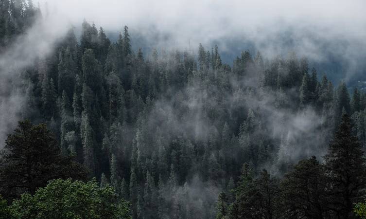 hotels in kasol near manikaran